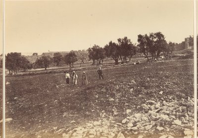General View of the City from the North by Sgt. James M. McDonald