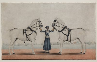 A Syce (Groom) Holding Two Carriage Horses, c.1845 by Shaik Muhammad Amir of Karraya (attr. to)