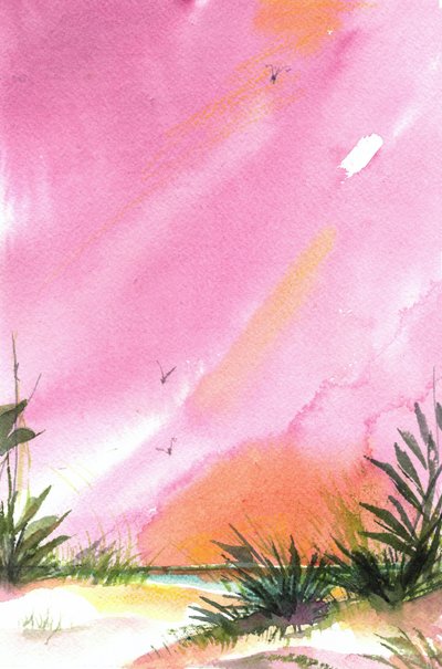 Pink Sunset Beach by Sheila Golden