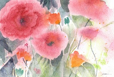 Pink Watercolor Poppies by Sheila Golden
