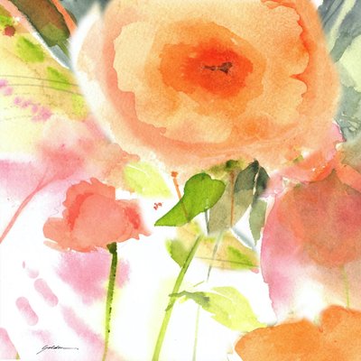 Soft Peach Blooms by Sheila Golden