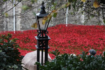 Blood Swept Lands and Seas of Red, Tower of London by Sheldon Marshall