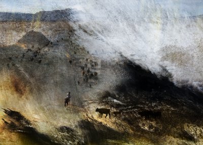 Cowboy Cattle Drive by Shenshen Dou
