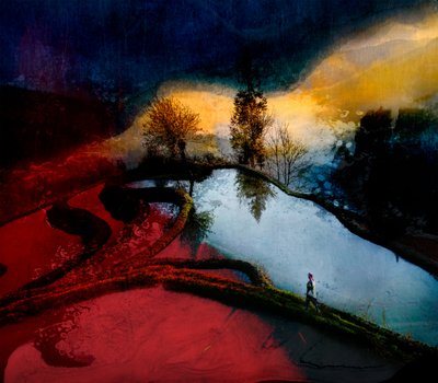 Solitary Terraces Glow by Shenshen Dou