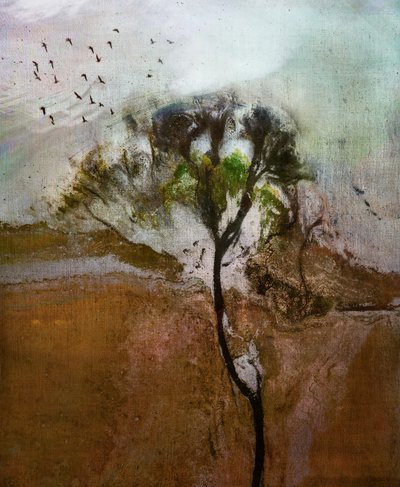 Windswept Tree Landscape by Shenshen Dou