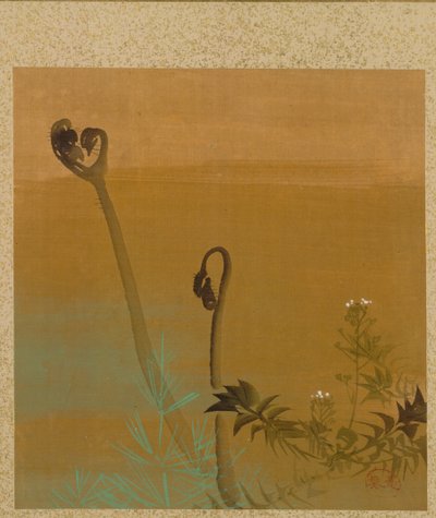 New Ferns from Album of Paintings by the Venerable Zeshin by Shibata Zeshin