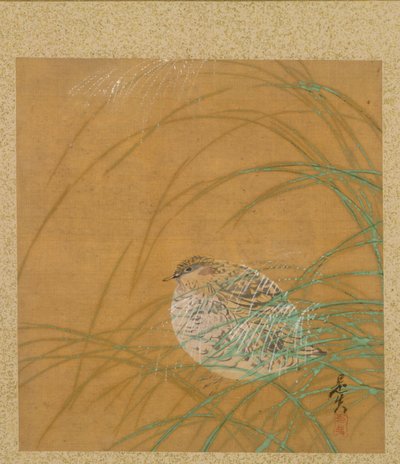 Quail in Grass from Album of Painting by Shibata Zeshin