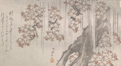 Cherry Blossoms in the Rain by Shinsai