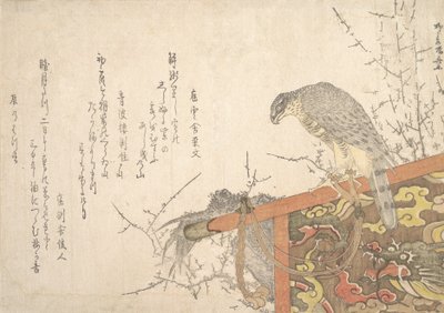 Hawk Tied to Perch by Shinsai