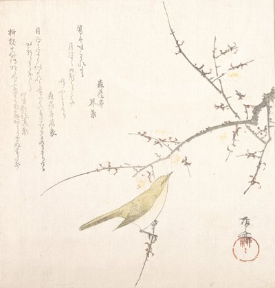 New Moon, Nightingale on a Plum Branch by Shinsai