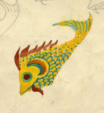 Fish Illustration by Shirley Markham