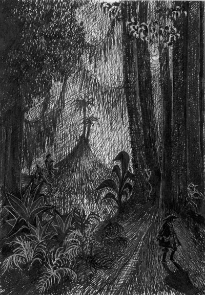 Pirate in the rainforest by Shirley Markham