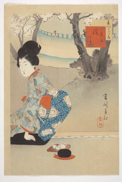 Three Blooming Cherry Trees, from the series 