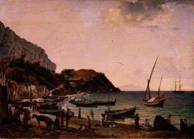 The Harbour on the Island of Capri by Silvestr Fedosievich Shchedrin