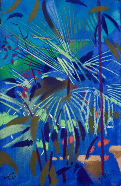 Begonia Palm by Simon Fletcher