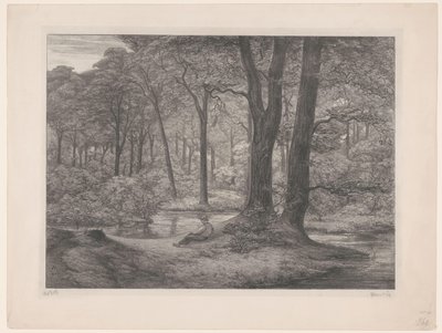 Forest with Pond and Reclining Man by Simon Moulijn (signed by artist)