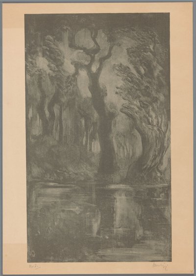 Water in Forest by Simon Moulijn (signed by artist)