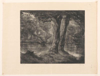Water in a Forest by Simon Moulijn (signed by artist)