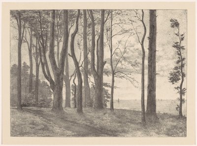 Trees by Water with Sailboats by Simon Moulijn
