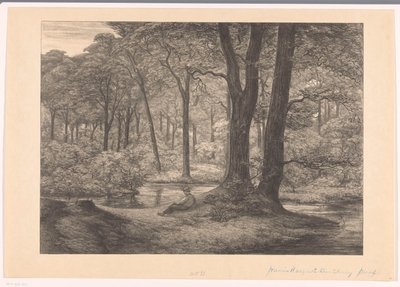 View of the Hunnenschans on the Veluwe by Simon Moulijn