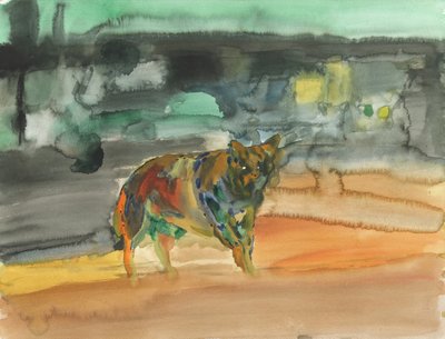City Coyote, 2019 by Simon Neville