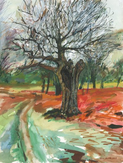 Old tree, Richmond Park by Simon Neville