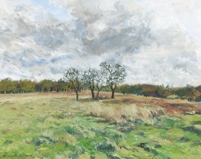 Richmond Park by Simon Neville