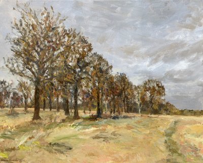 Woodland, Richmond Park no 6, 2022 by Simon Neville