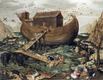 The Noah