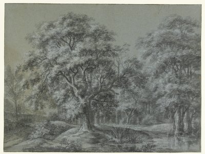 Forest Landscape with Water by Simon de Vlieger