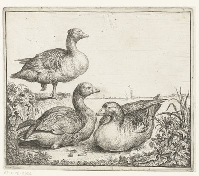 Three Geese by Simon de Vlieger
