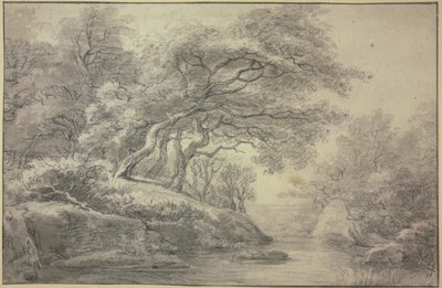 Stream at the edge of the forest by Simon de Vlieger