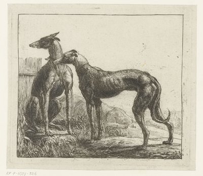 Two Greyhounds (Various Animals) by Simon de Vlieger