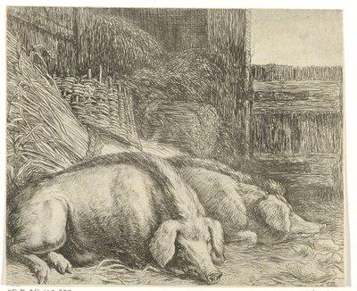 Two Pigs (Various Animals series, Beesjes van de Vlieger series) by Simon de Vlieger