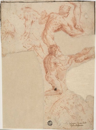 Sketches of Male Nudes, Legs (recto); Sketches of Male Nudes (verso) by Simone Cantarini