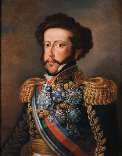 Portrait of D. Pedro I by Simplicio Rodrigues de Sa