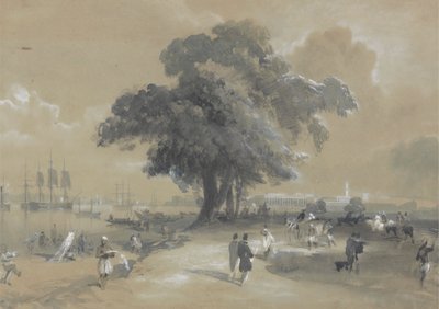 Town and Port of Calcutta by Sir Charles D