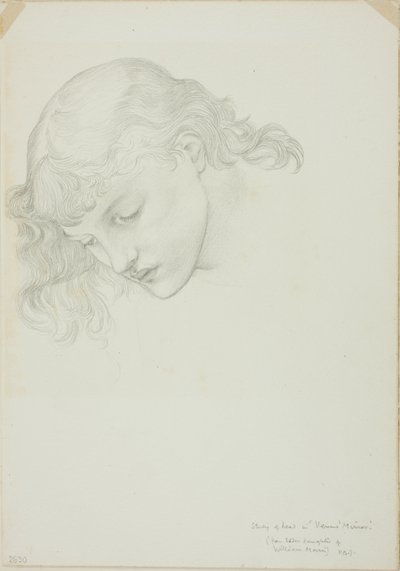 Head, Study for Mirror of Venus by Sir Edward Burne Jones