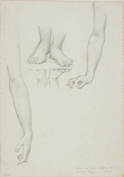 Study for Mirror of Venus: Arms and Feet of Venus by Sir Edward Burne Jones
