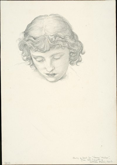 Study for Mirror of Venus: Head by Sir Edward Burne Jones
