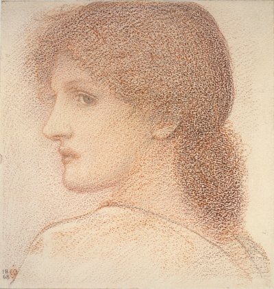 Study of a Woman