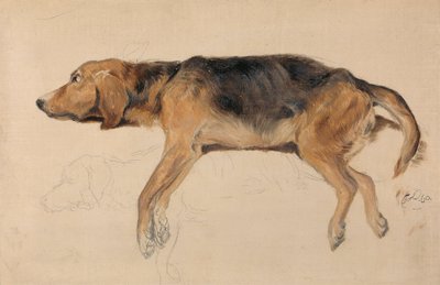 Study of a Dog Lying Down by Sir Edwin Henry Landseer