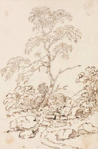 Tree by Steps by Sir George Howland Beaumont seventh Baronet