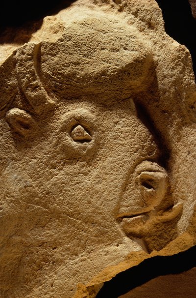 Bas-Relief Sculpture of a Bison, limestone is sixteen-thousand years old by Sisse Brimberg