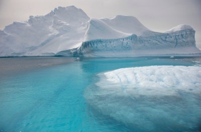 Icebergs floating on Antarctic Peninsula, 2022 by Sisse Brimberg