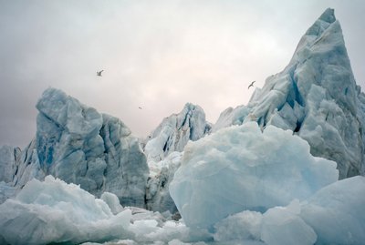 Icebergs in the Arctic sea around Spitsbergen Island, Norway by Sisse Brimberg