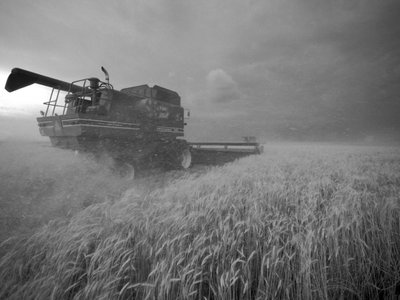 United States, Kansas: Kansas wheat being harvested at dusk during summer by Sisse Brimberg