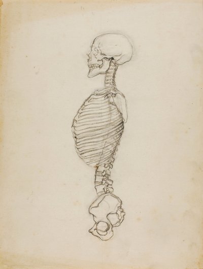 Anatomy by Solon H. Borglum