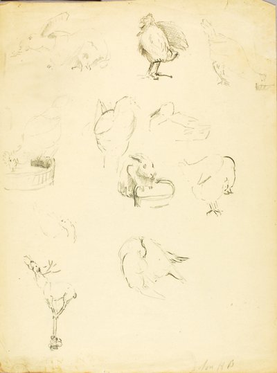 Animal Studies by Solon H. Borglum