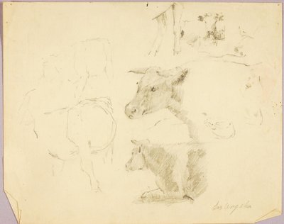 Cows by Solon H. Borglum